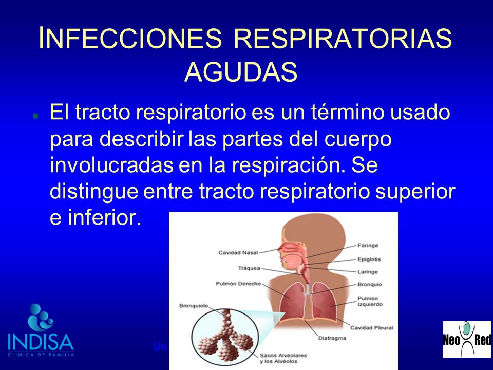 imagenes de la infeccion respiratoria aguda
